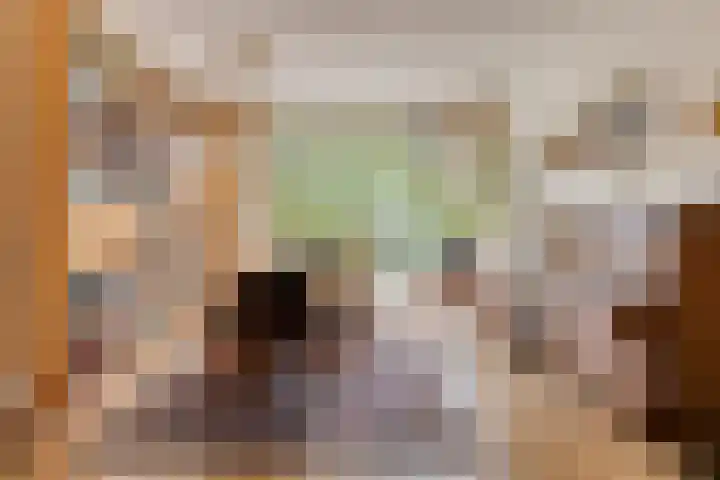 Palestrinaweg 30 Den Haag thumbnail 6
