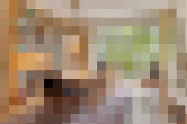 Palestrinaweg 30 Den Haag thumbnail 7