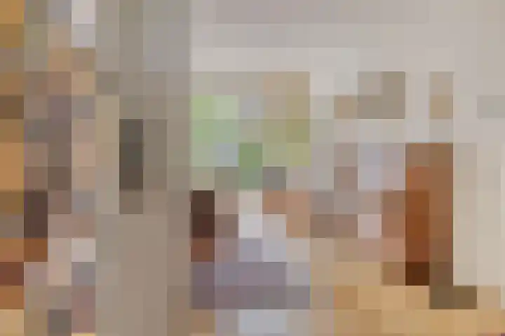 Palestrinaweg 30 Den Haag thumbnail 8