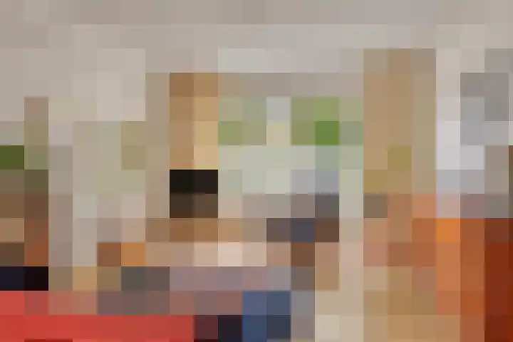 Palestrinaweg 30 Den Haag thumbnail 9