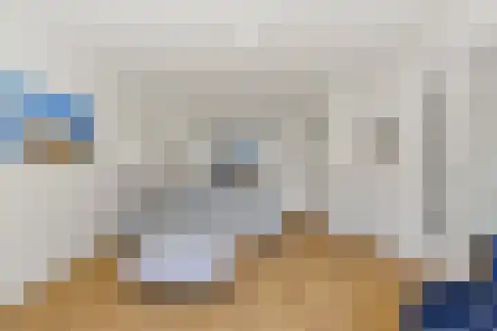 Palestrinaweg 56 Den Haag thumbnail 11