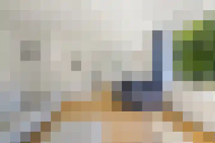 Palestrinaweg 56 Den Haag thumbnail 12