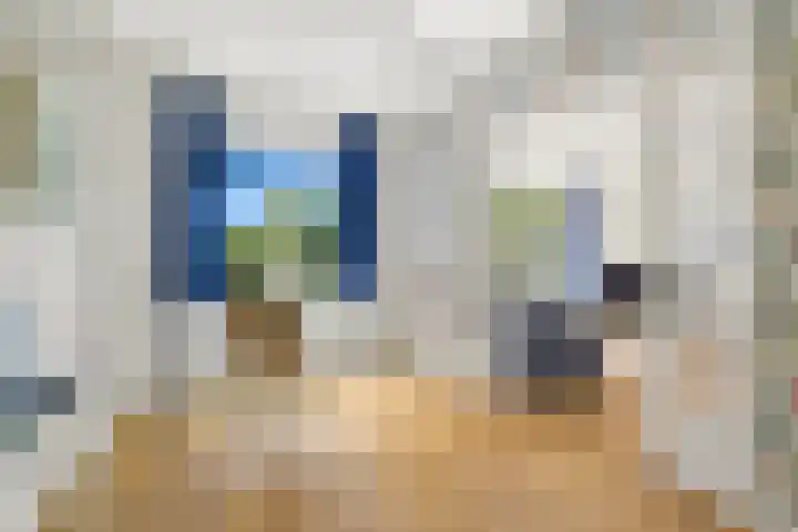 Palestrinaweg 56 Den Haag thumbnail 13