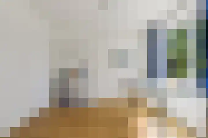 Palestrinaweg 56 Den Haag thumbnail 14