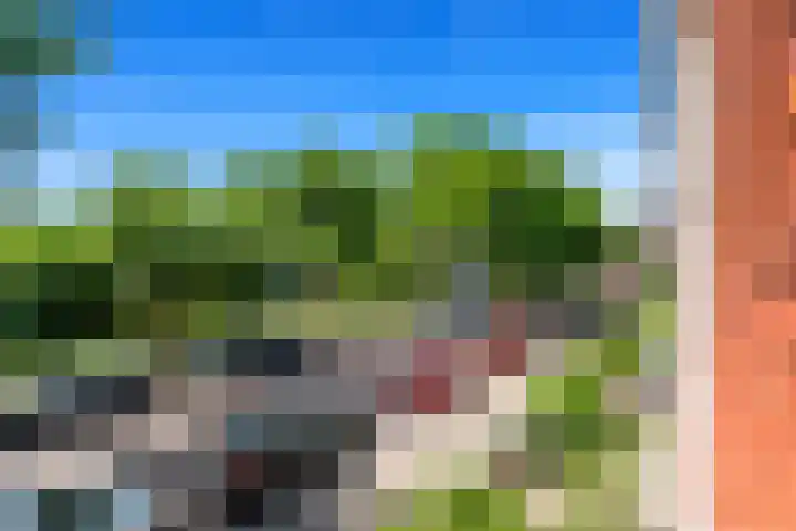 Palestrinaweg 56 Den Haag thumbnail 15