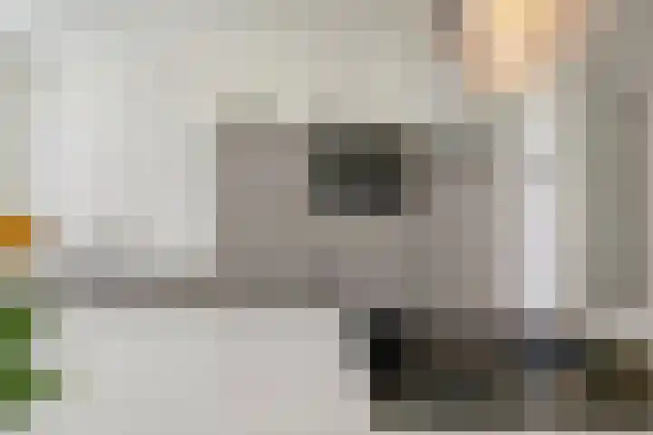 Palestrinaweg 56 Den Haag thumbnail 19