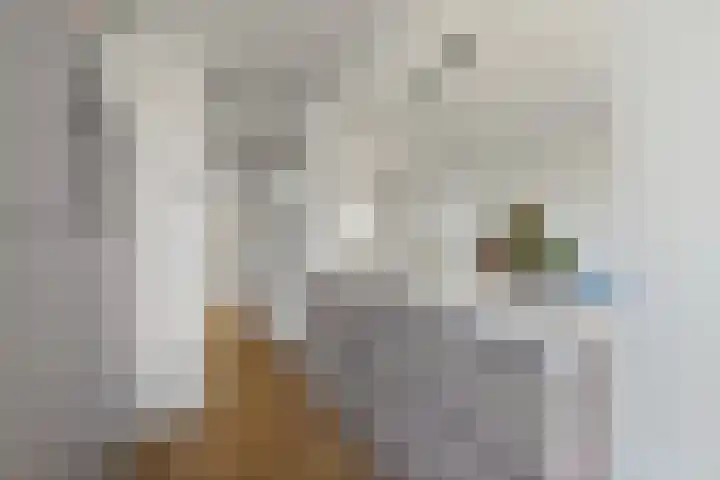 Palestrinaweg 56 Den Haag thumbnail 20