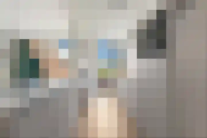 Palestrinaweg 56 Den Haag thumbnail 21