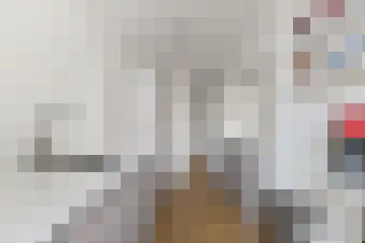 Palestrinaweg 56 Den Haag thumbnail 22