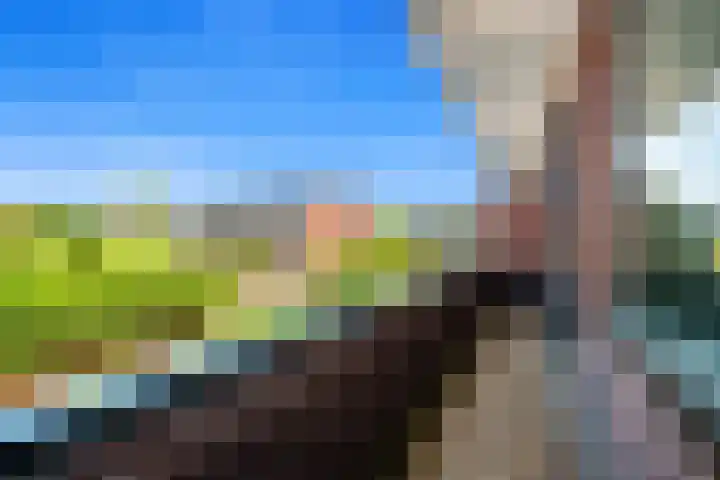 Palestrinaweg 56 Den Haag thumbnail 24