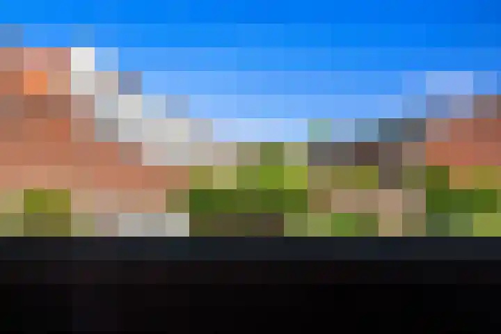 Palestrinaweg 56 Den Haag thumbnail 25