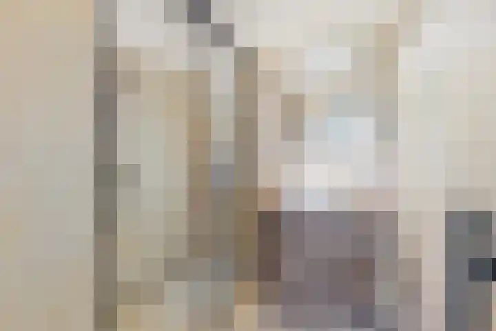 Palestrinaweg 56 Den Haag thumbnail 27