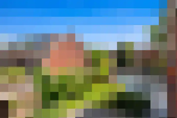 Palestrinaweg 56 Den Haag thumbnail 33