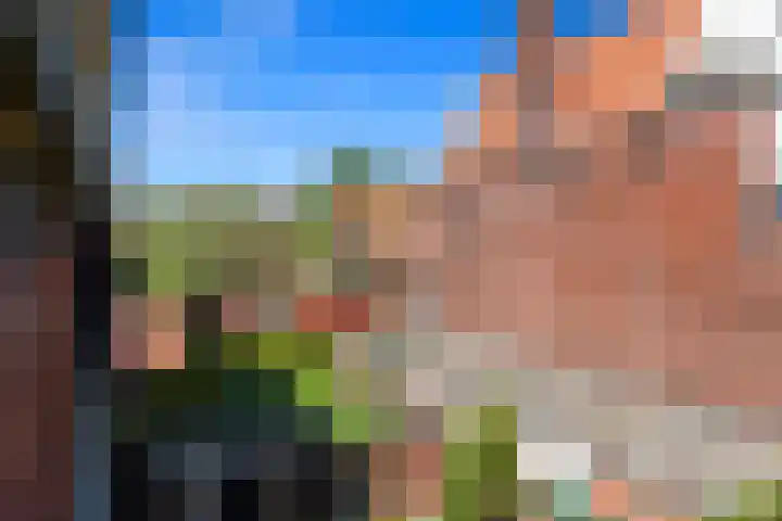 Palestrinaweg 56 Den Haag thumbnail 34