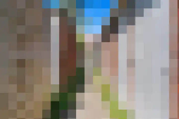 Palestrinaweg 56 Den Haag thumbnail 35
