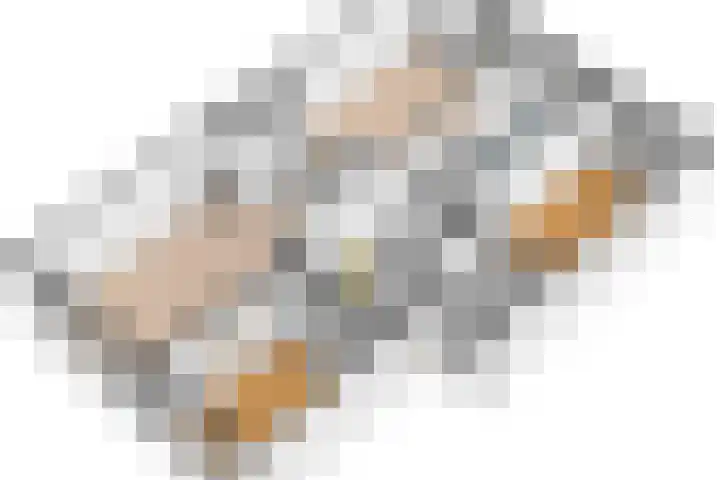 Palestrinaweg 56 Den Haag thumbnail 37