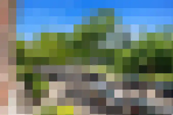 Palestrinaweg 56 Den Haag thumbnail 4