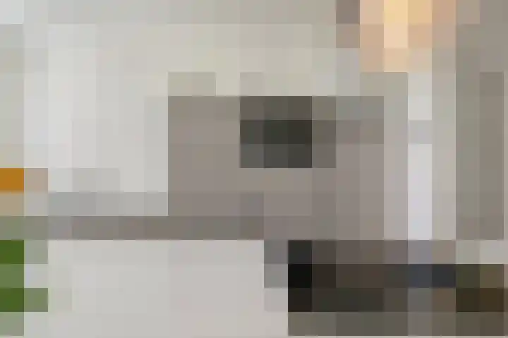 Palestrinaweg 56 Den Haag thumbnail 40