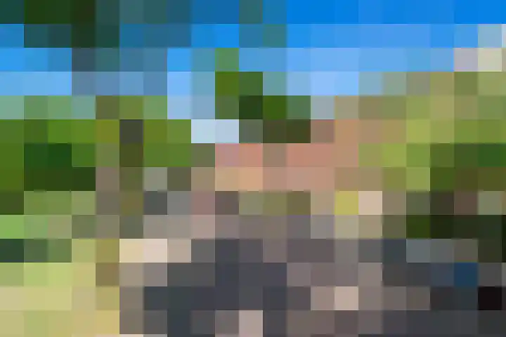 Palestrinaweg 56 Den Haag thumbnail 8