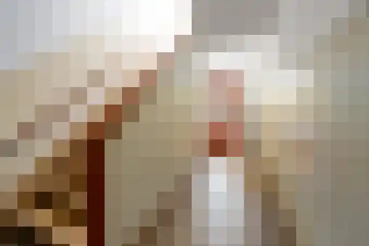 Palestrinaweg 56 Den Haag thumbnail 9
