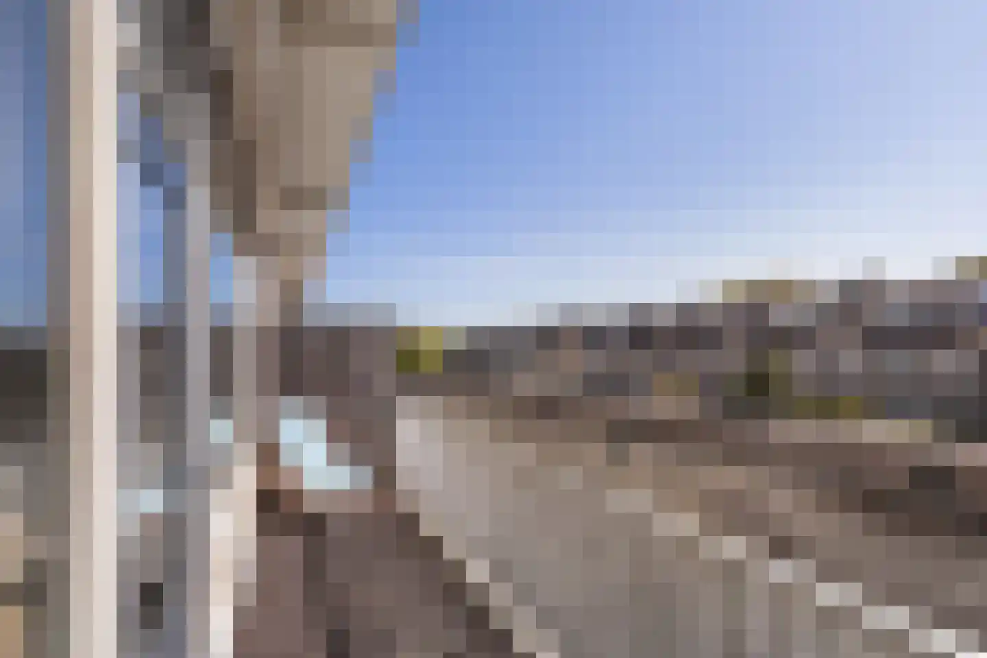 Palet 13 Hillegom thumbnail 11