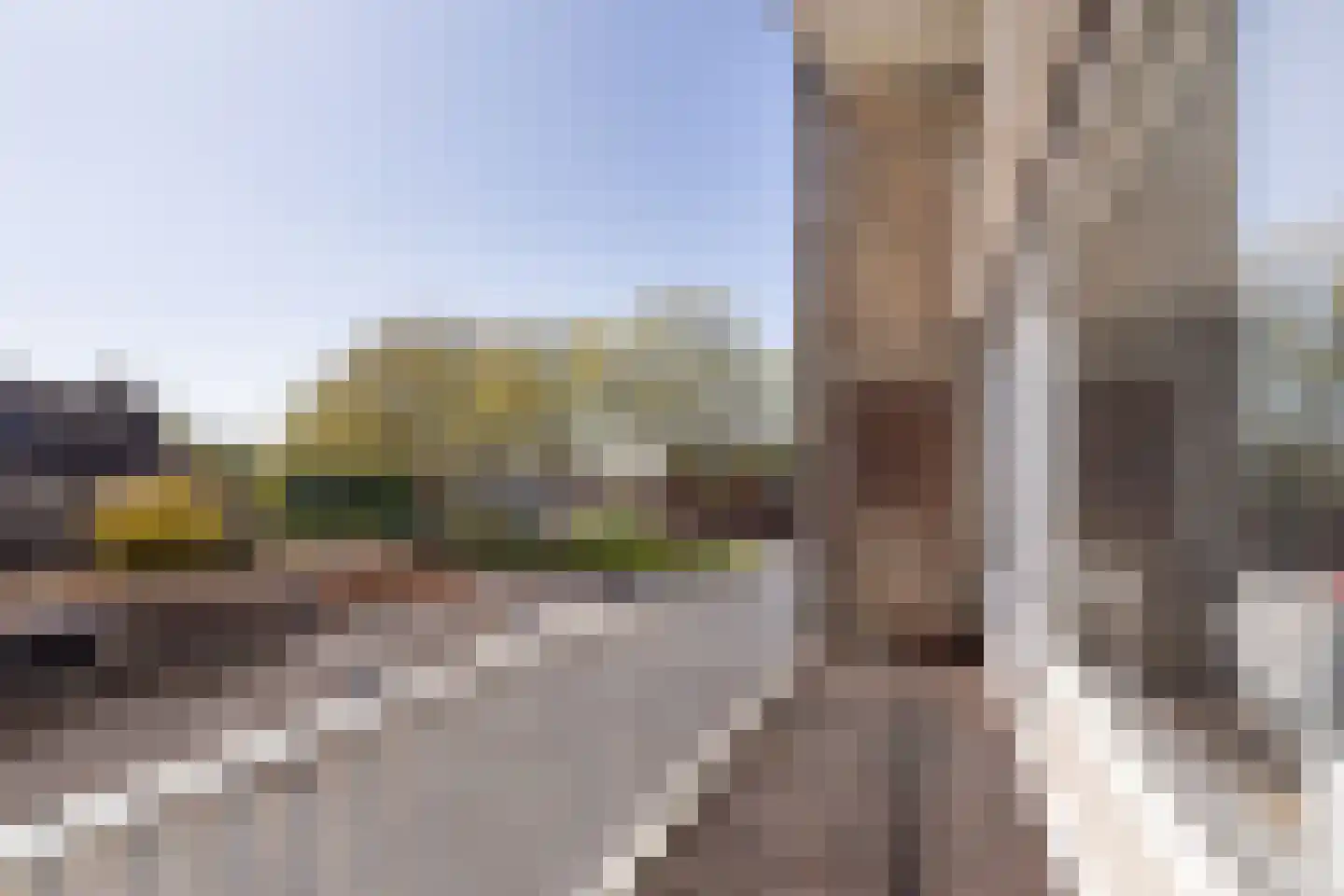 Palet 13 Hillegom thumbnail 12