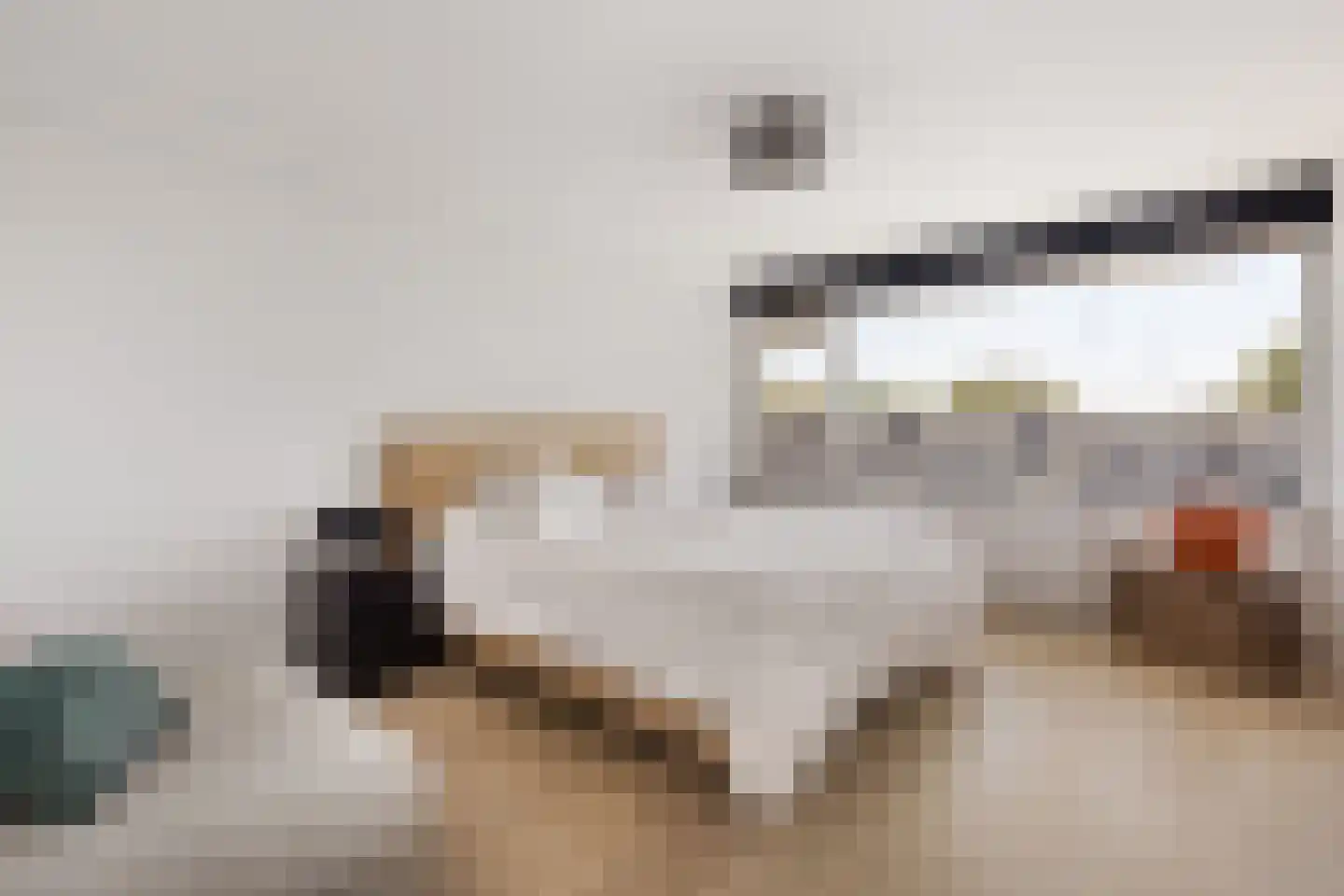 Palet 13 Hillegom thumbnail 15