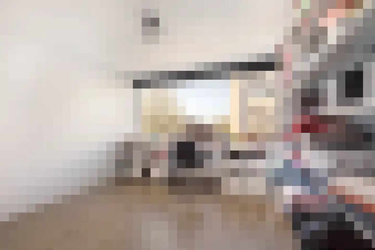 Palet 13 Hillegom thumbnail 17