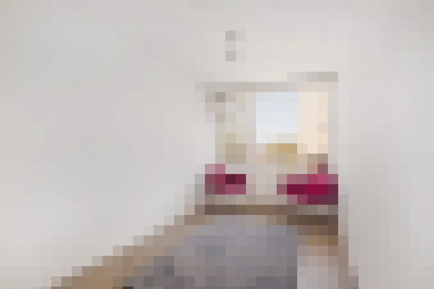 Palet 13 Hillegom thumbnail 18