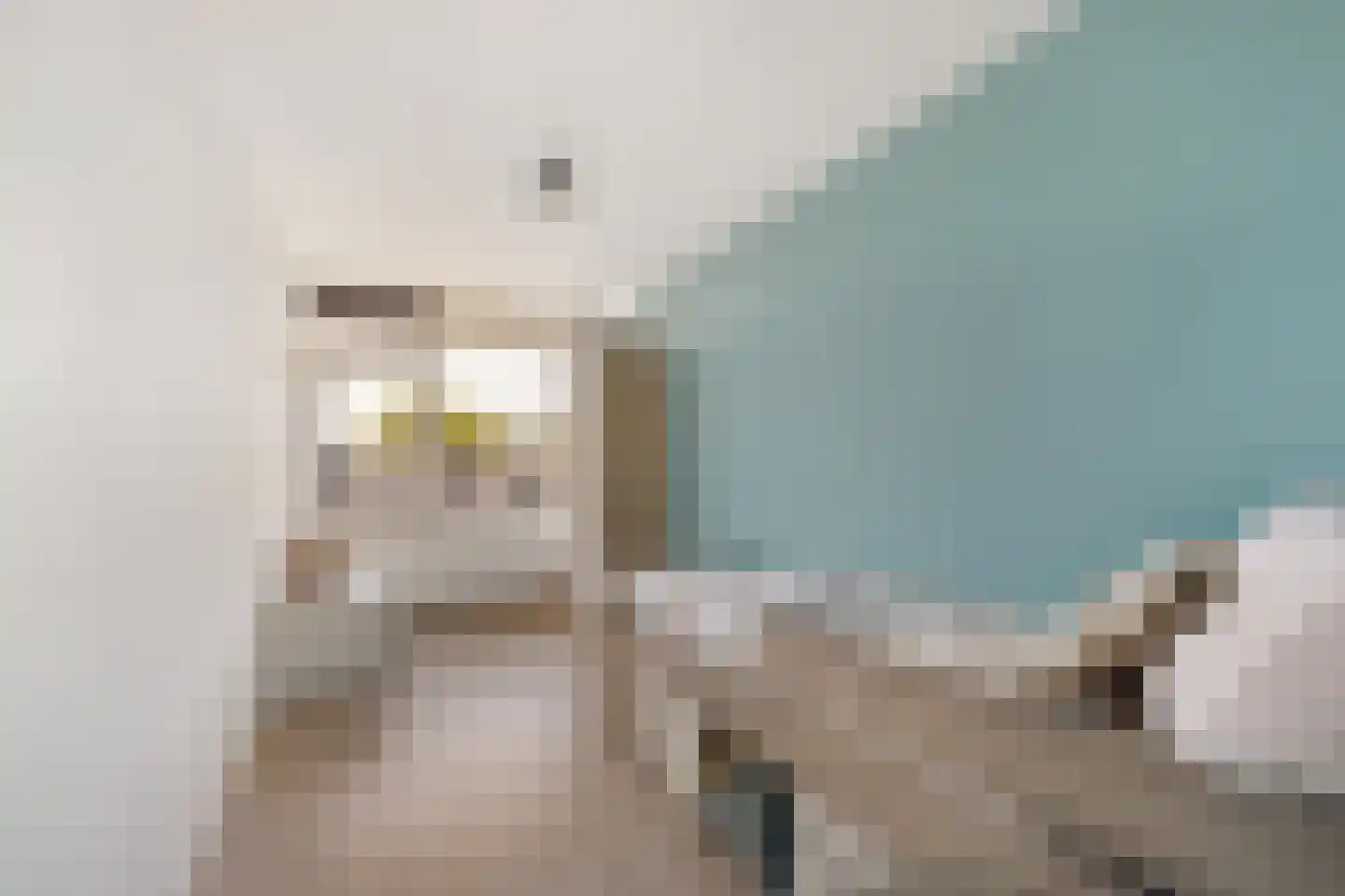 Palet 13 Hillegom thumbnail 19