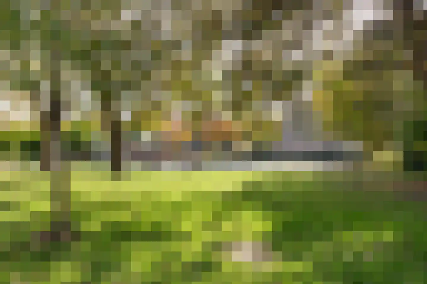 Palet 13 Hillegom thumbnail 26