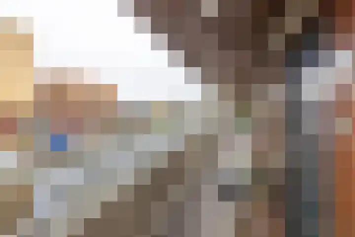Palet 14 Hillegom thumbnail 10