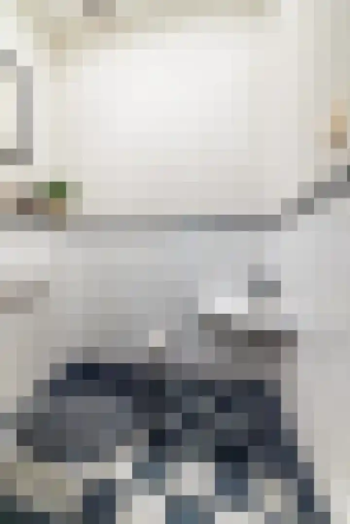 Palet 14 Hillegom thumbnail 14