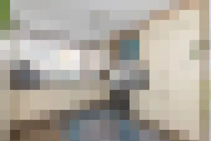 Palet 14 Hillegom thumbnail 21