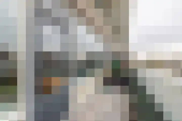 Palet 14 Hillegom thumbnail 24