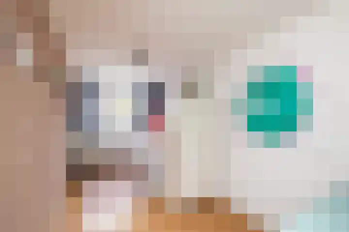 Palet 14 Hillegom thumbnail 32