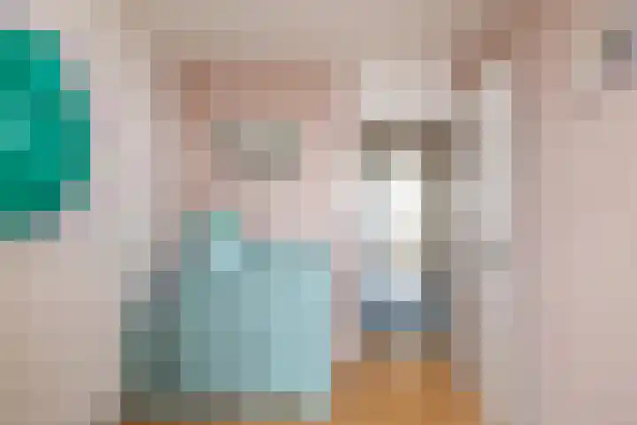 Palet 14 Hillegom thumbnail 33