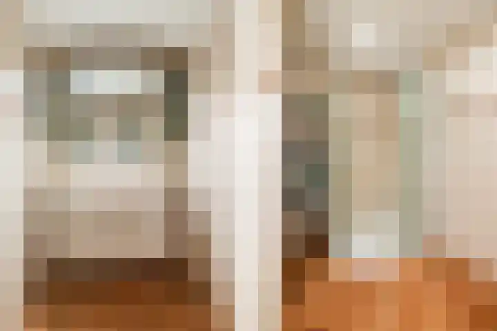 Palet 14 Hillegom thumbnail 34