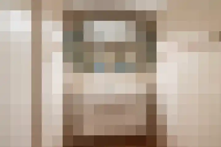 Palet 14 Hillegom thumbnail 35