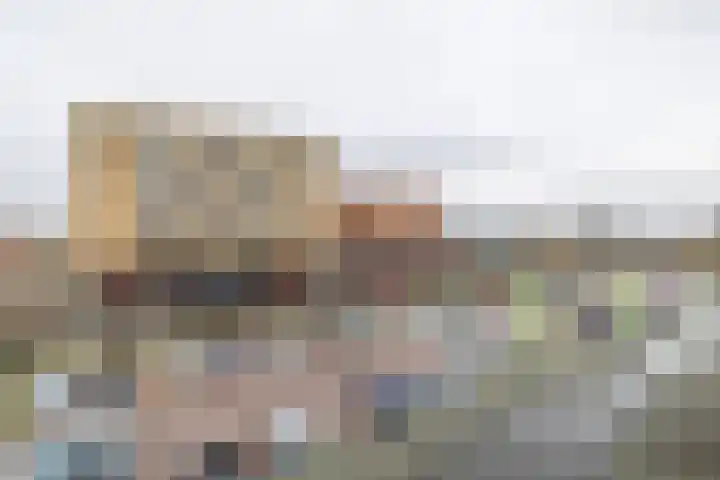 Palet 14 Hillegom thumbnail 36