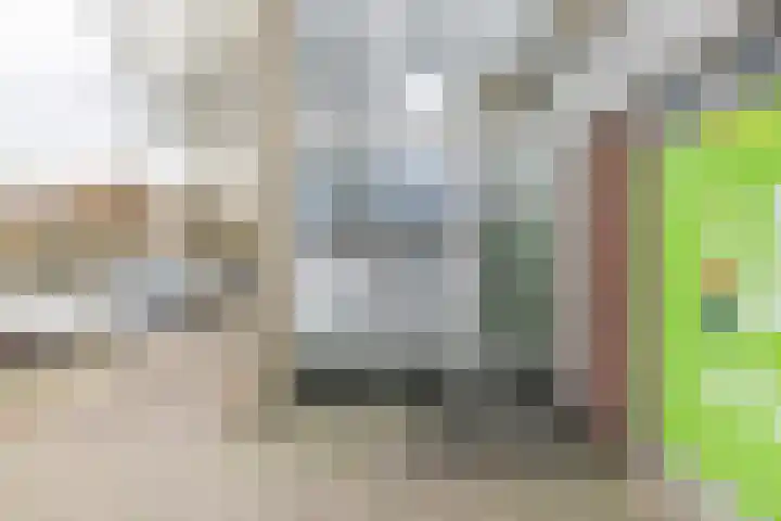 Palet 14 Hillegom thumbnail 6