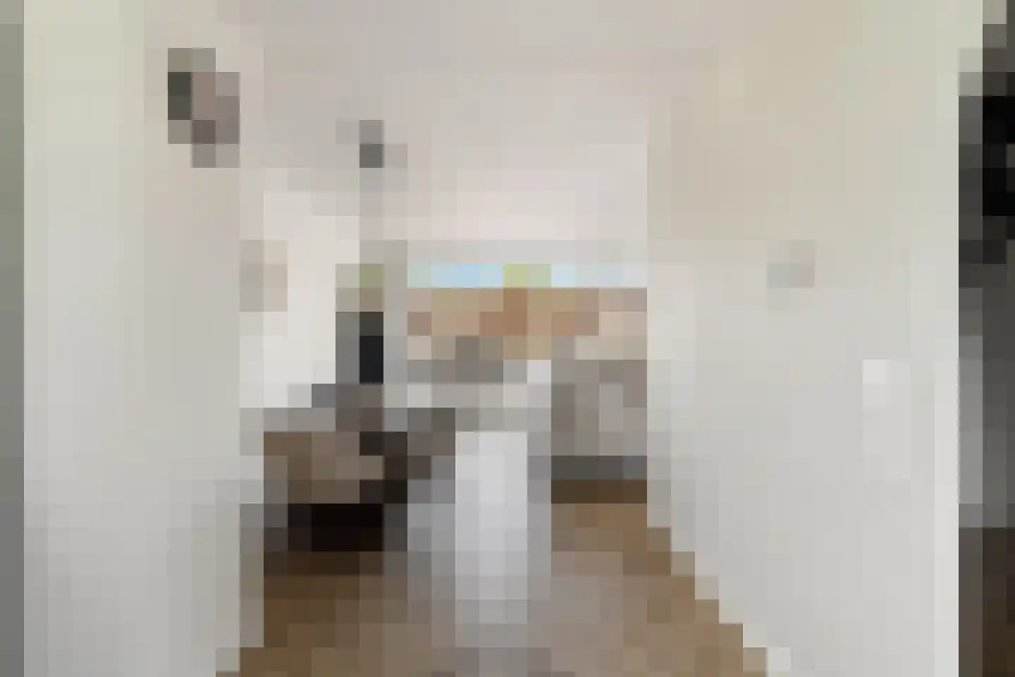 Palet 16 Hillegom thumbnail 10