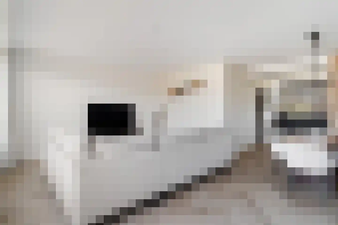 Palet 16 Hillegom thumbnail 14