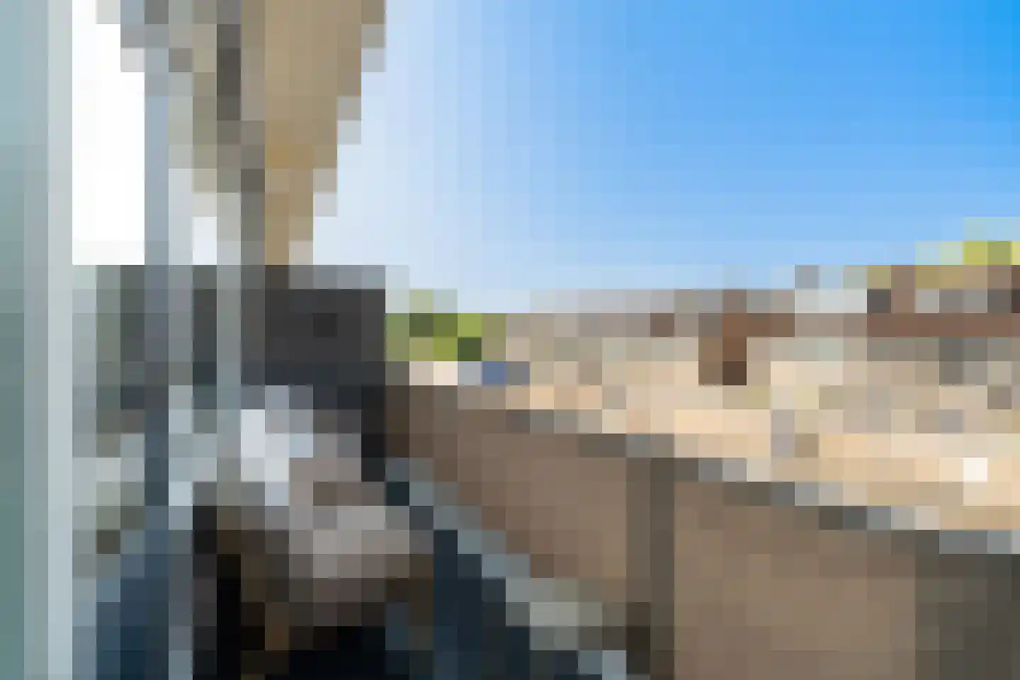 Palet 16 Hillegom thumbnail 18