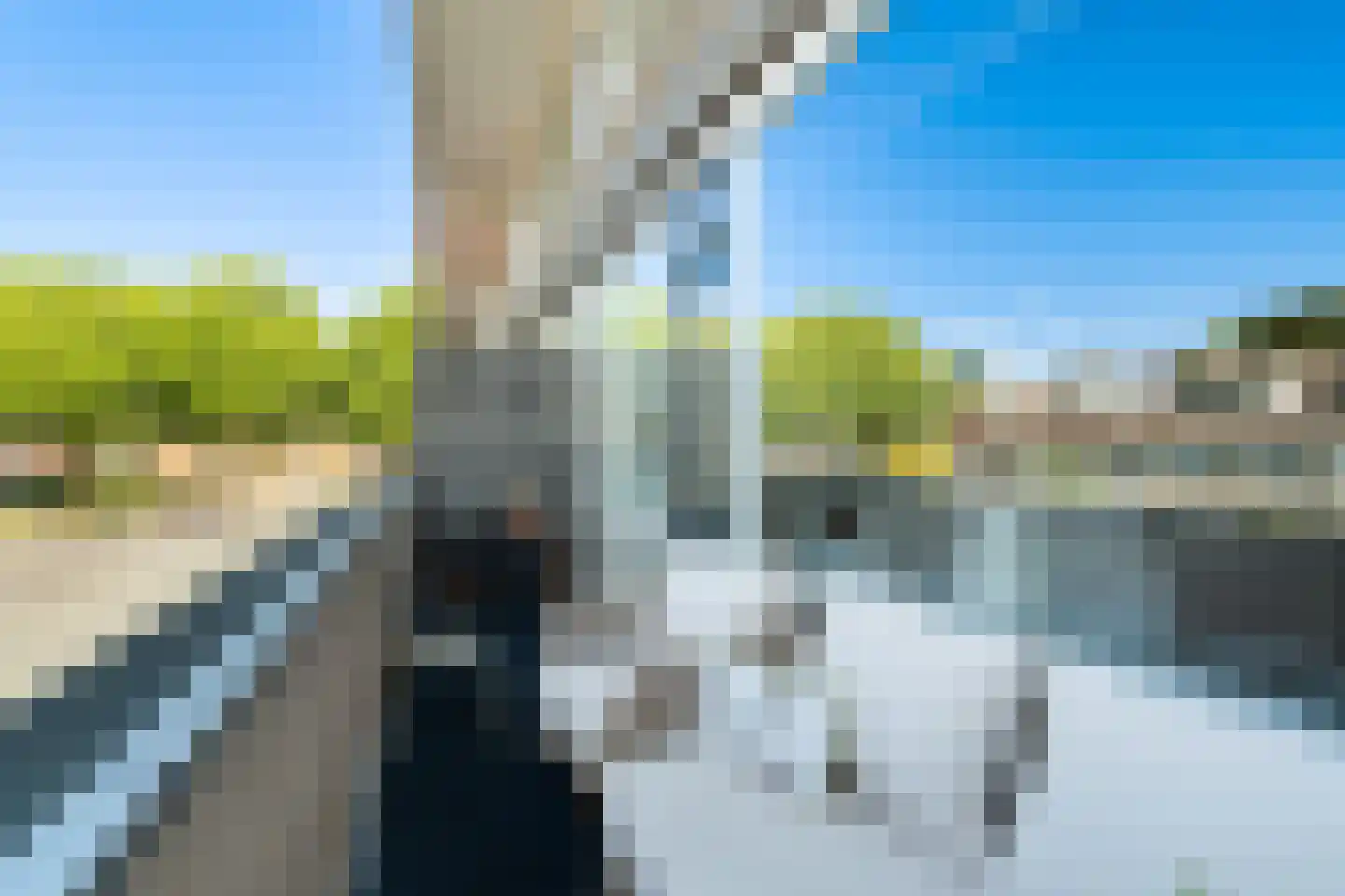 Palet 16 Hillegom thumbnail 19