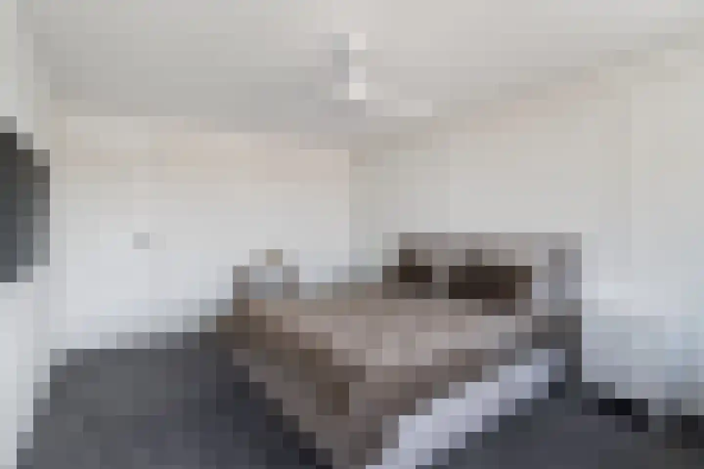 Palet 16 Hillegom thumbnail 25