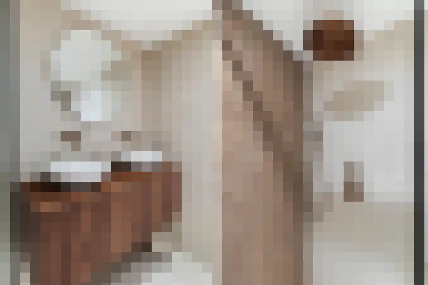 Palet 16 Hillegom thumbnail 36