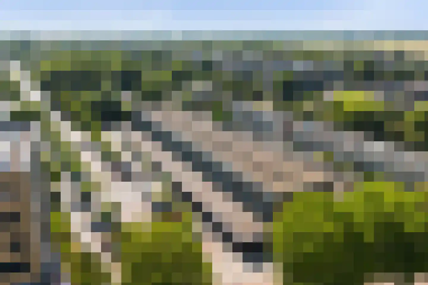 Palet 16 Hillegom thumbnail 4