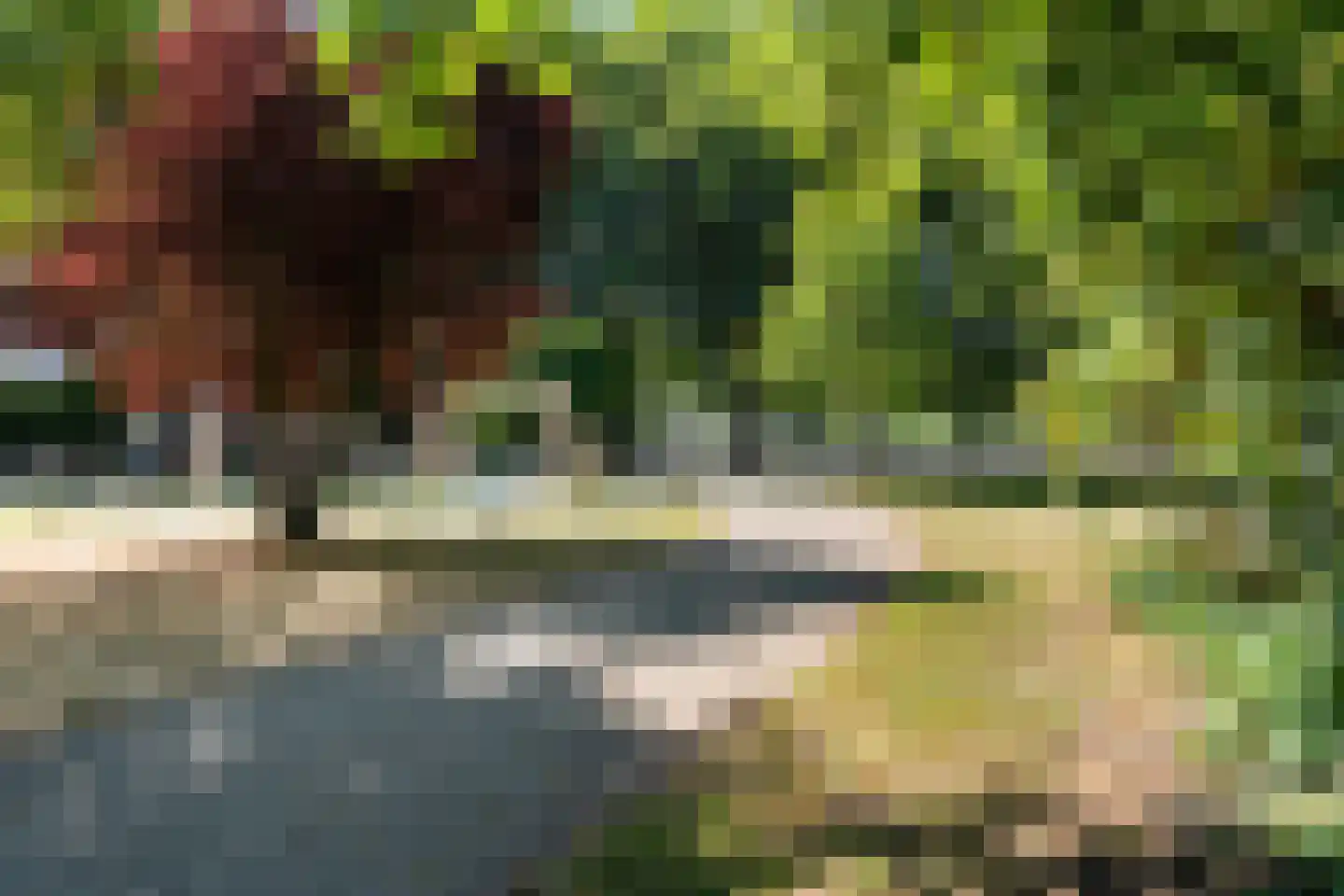 Palet 16 Hillegom thumbnail 40