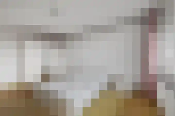 Palet 18 Hillegom thumbnail 10